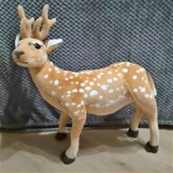 frozen taxidermy for sale