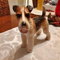 fox terrier dogs for sale