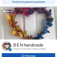 dried butterflies for sale