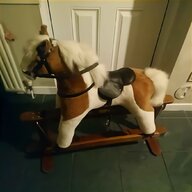 highland pony for sale