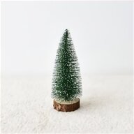 white pine tree for sale