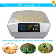fully automatic incubator for sale