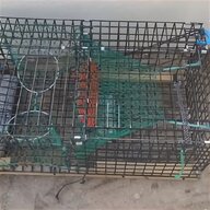 lobster buoy for sale