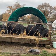livestock trough for sale