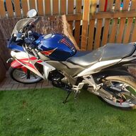 benelli 250 for sale