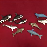 shark jaws for sale