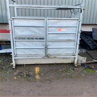 cattle scales for sale