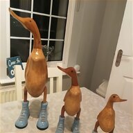 dcuk ducks for sale