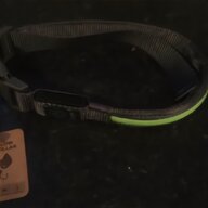 hi craft dog collar for sale