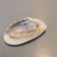 mother pearl bowl for sale