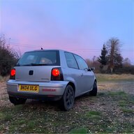 lupo for sale