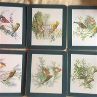 bird placemats for sale
