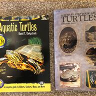 aquatic turtles for sale
