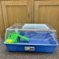 double ferret box for sale