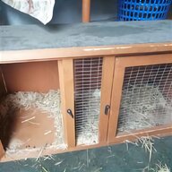 chicken cage for sale