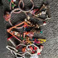 parrot rope swing for sale