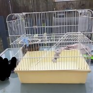 canary bird cage for sale