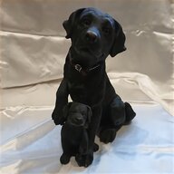 black doberman puppies for sale
