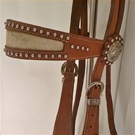 stallion bridle for sale