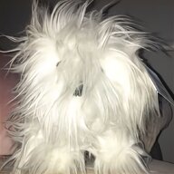 dulux dog for sale