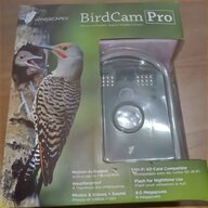 bird cam for sale