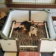 puppy whelping box for sale
