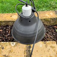 tortoise heat lamp for sale