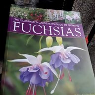 fuchsia books for sale