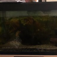 rena fish tank for sale