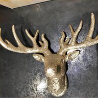 stags head next for sale