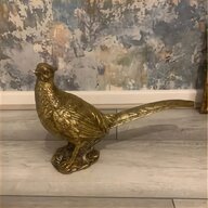 golden pheasant for sale