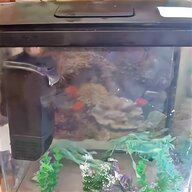 fish tank sand for sale