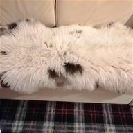 icelandic sheepskin rug for sale