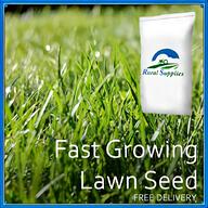 grass seed for sale