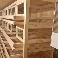 poultry feeder for sale