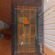 liberta cage hamster for sale