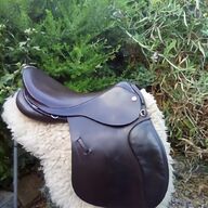 arabian saddle for sale