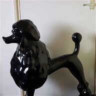 black standard poodle for sale