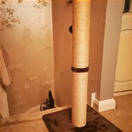 cat scratching post for sale