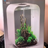 60l fish tank for sale