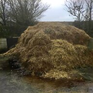 horse muck trailers for sale