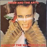 adam ant signed for sale