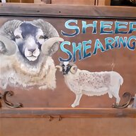 sheep shearing for sale