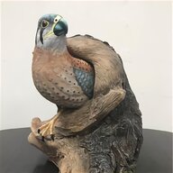 taxidermy animals for sale