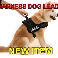 dog pulling harness for sale