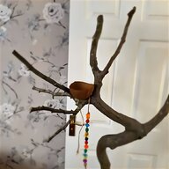 parrot tree for sale