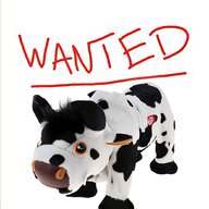 mooing cow for sale