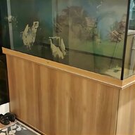 juwel vision fish tank for sale