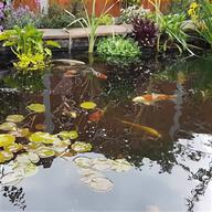pond for sale