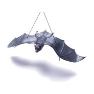 rubber bat for sale